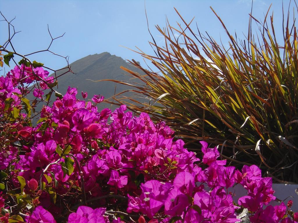 El Cortijo Eco Finca Hotel Ye Eksteriør billede