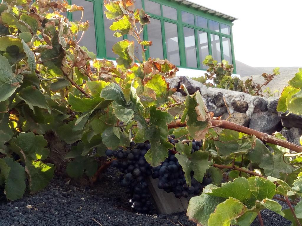 El Cortijo Eco Finca Hotel Ye Eksteriør billede